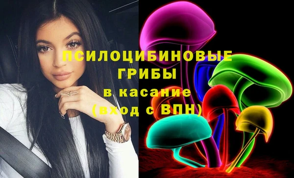 ешки Аркадак