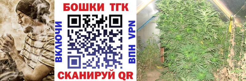 Бошки Шишки семена  Краснодар 
